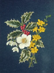 Stechpalme, Christrose, Schneeglöckchen und Winterjasmin
